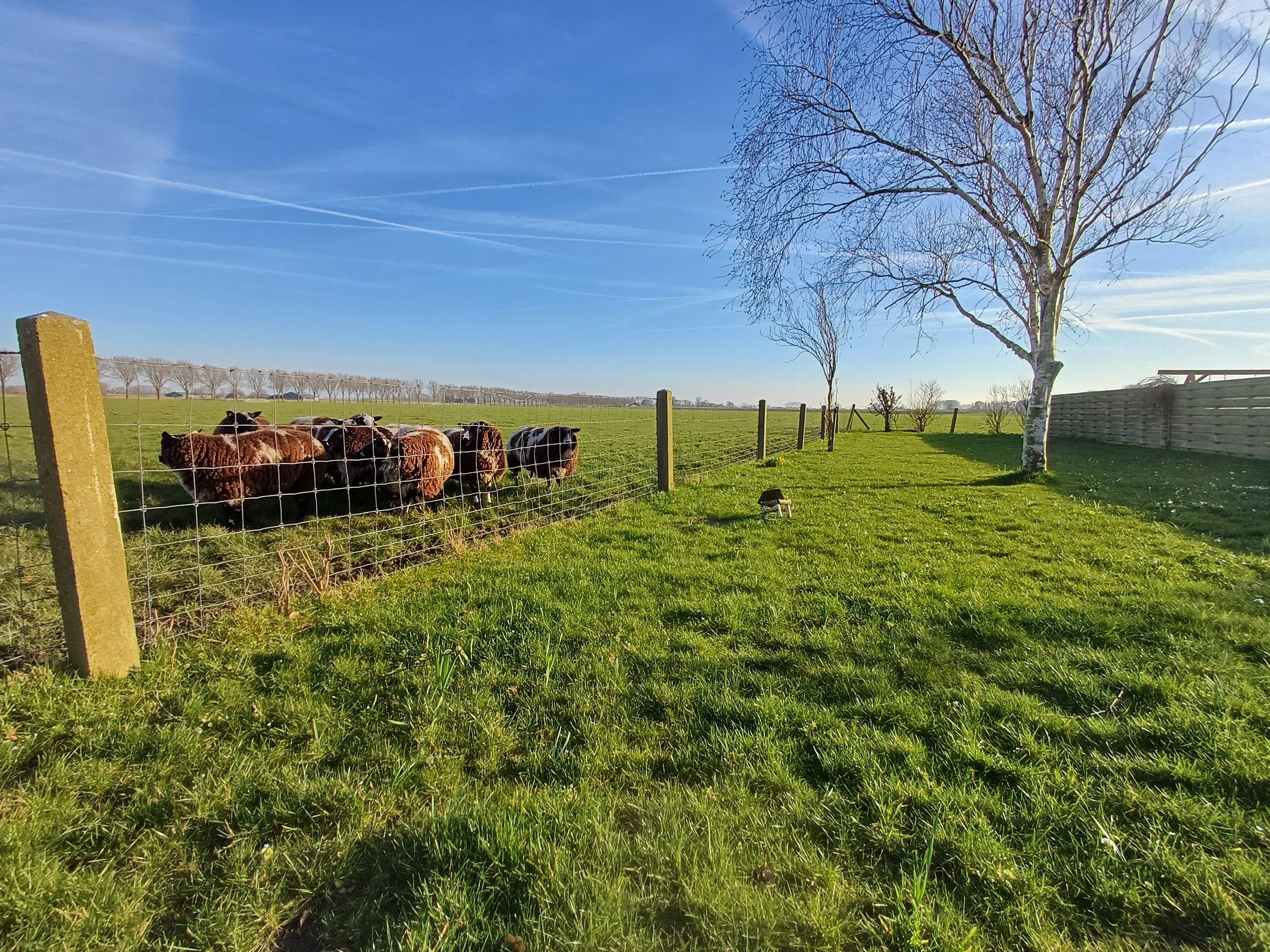 Foto 57 van Middenweg 16