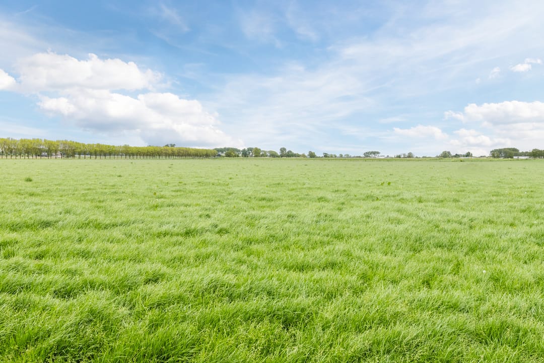 Foto 71 van Middenweg 16