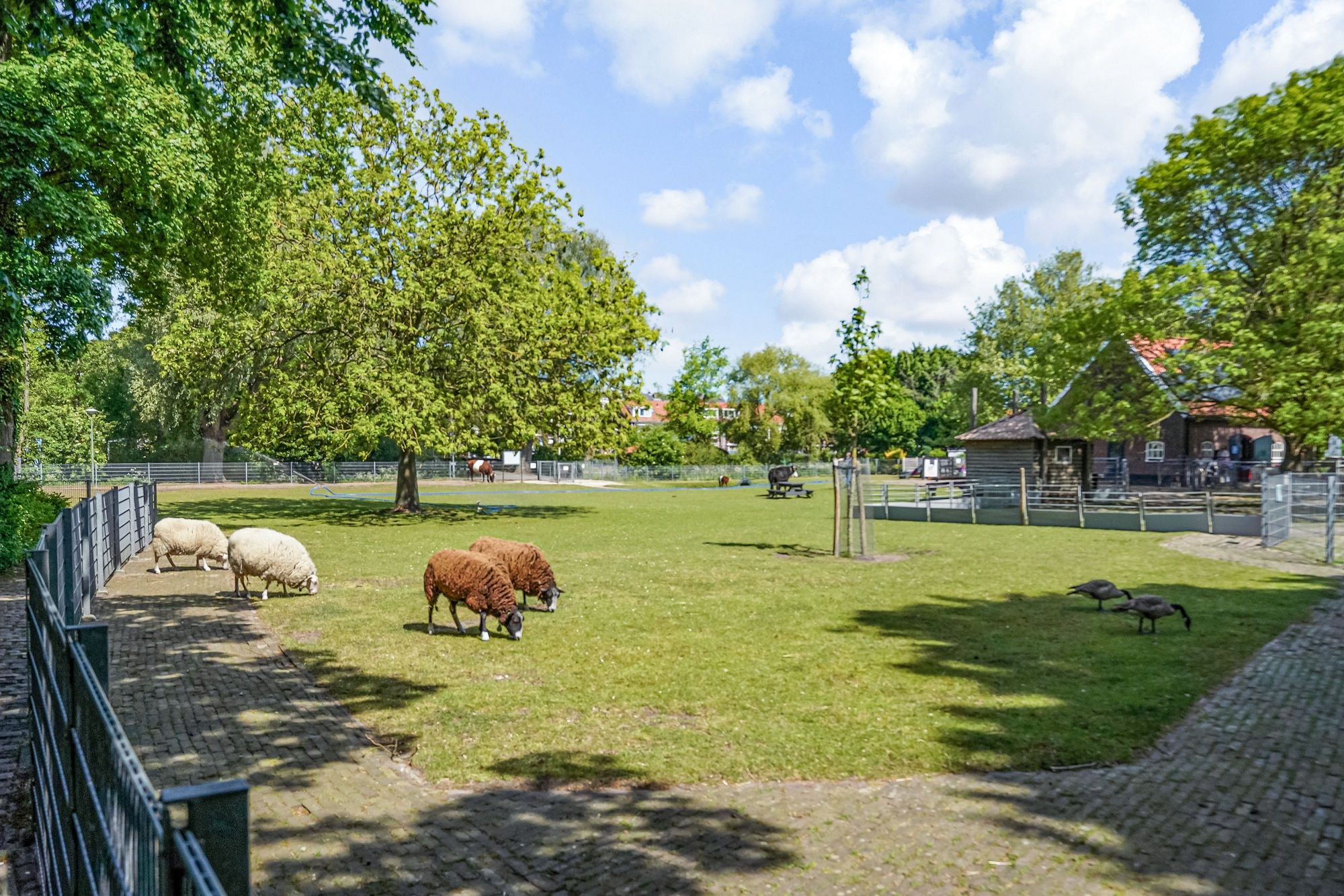 Foto 51 van Lehárstraat 56