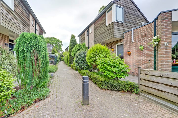 Foto 19 van de Binnentuin 8