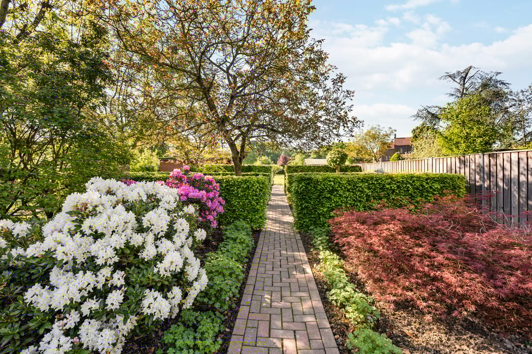 Foto 46 van Wilhelminalaan 42