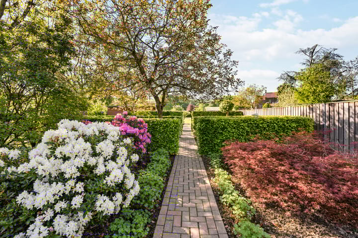 Foto 46 van Wilhelminalaan 42