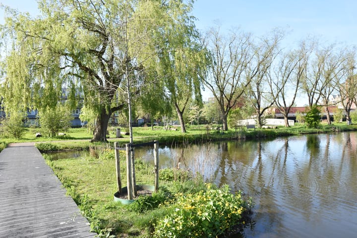 Foto 22 van Marianne van Hogendorpstraat 23