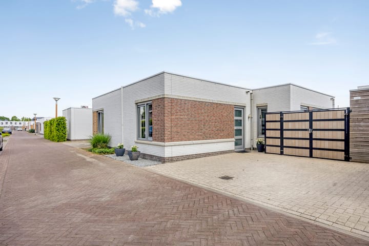 Photo 5 of Fluitenkruid 19