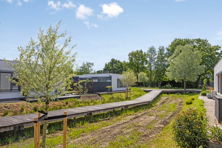 Photo 17 of Fluitenkruid 19