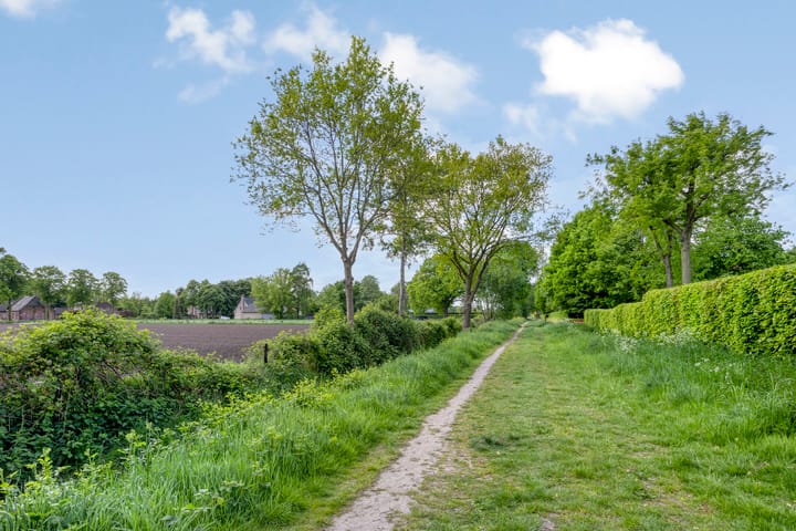 Photo 23 of Fluitenkruid 19