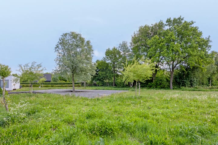 Photo 24 of Fluitenkruid 19