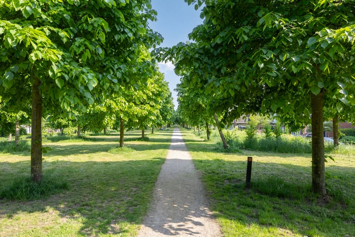 Photo 35 of Vestingsmuur 6