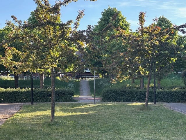 Photo 41 of Vestingsmuur 6