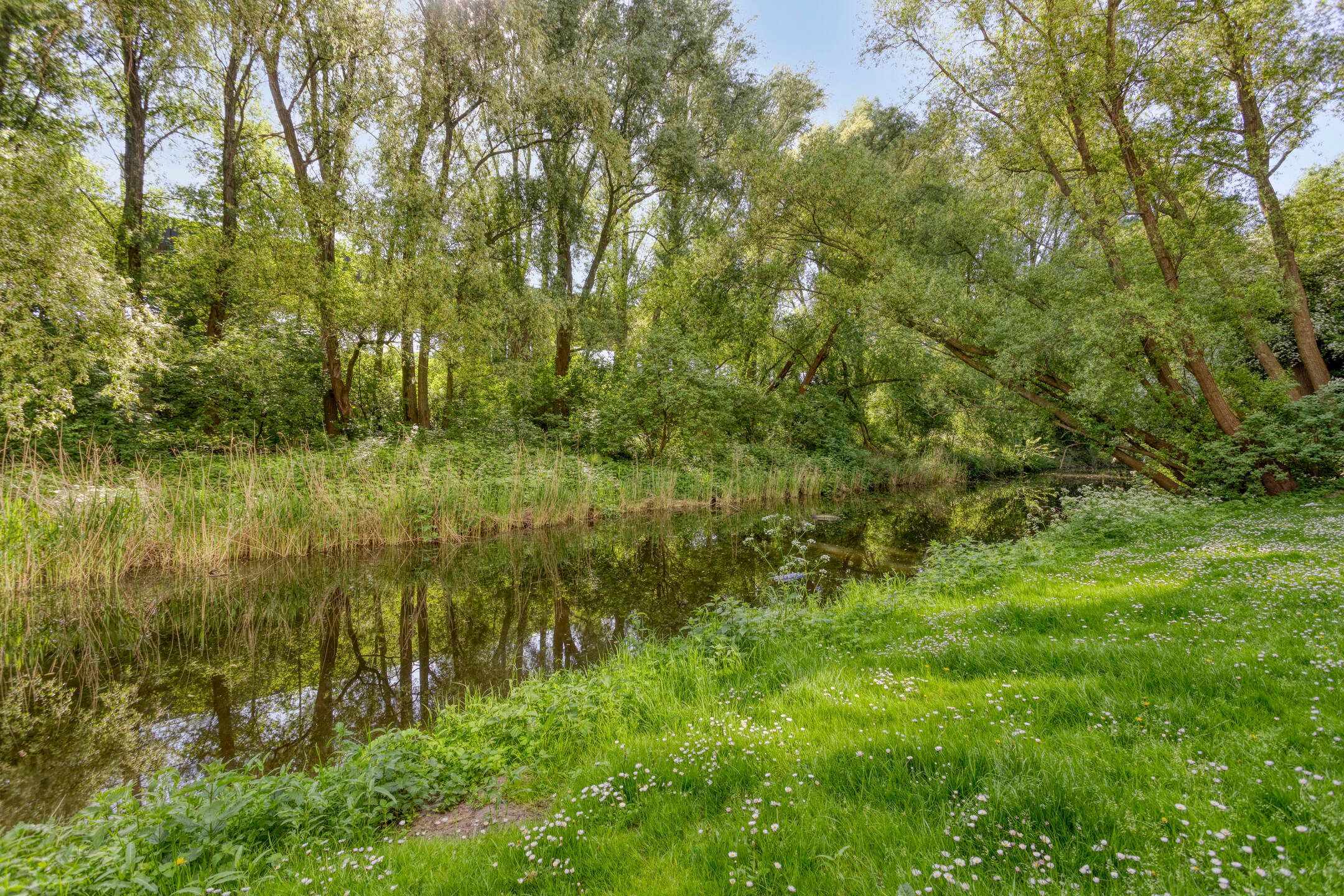 Photo 21 of Harry Koningsbergerstraat 266