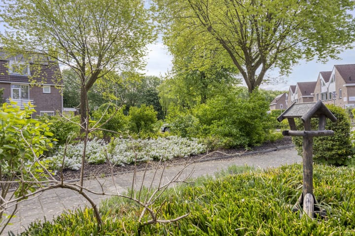 Photo 33 of Steur 77