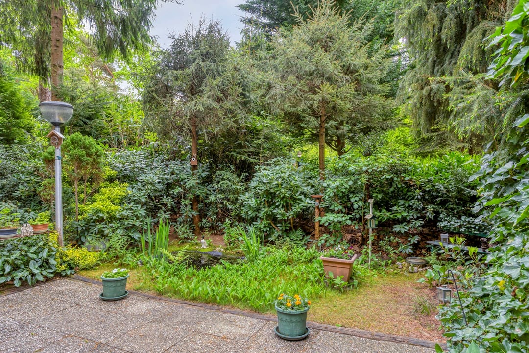 Foto 2 van Coevorderweg 17-41