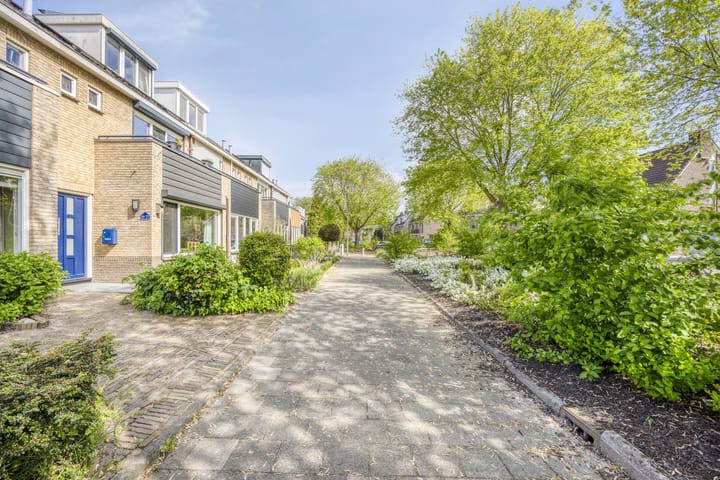 Photo 31 of Steur 77