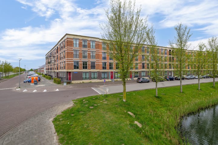 Artemissingel 223