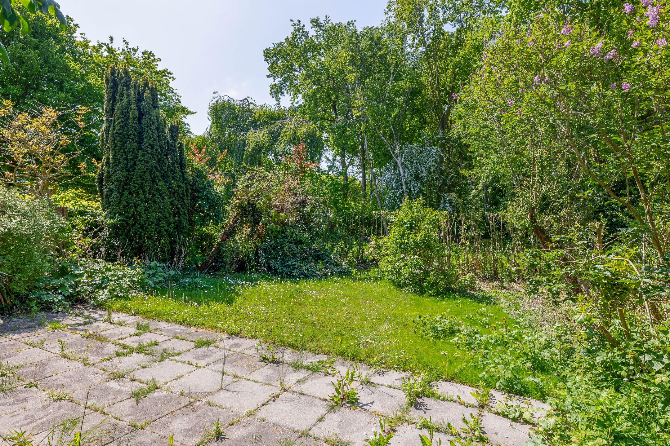 Foto 30 van 't Lage Burgh 12