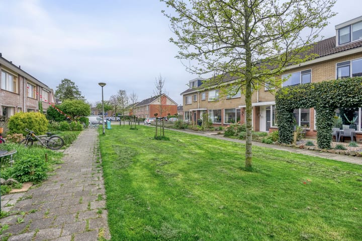 Foto 44 van Punterstraat 17