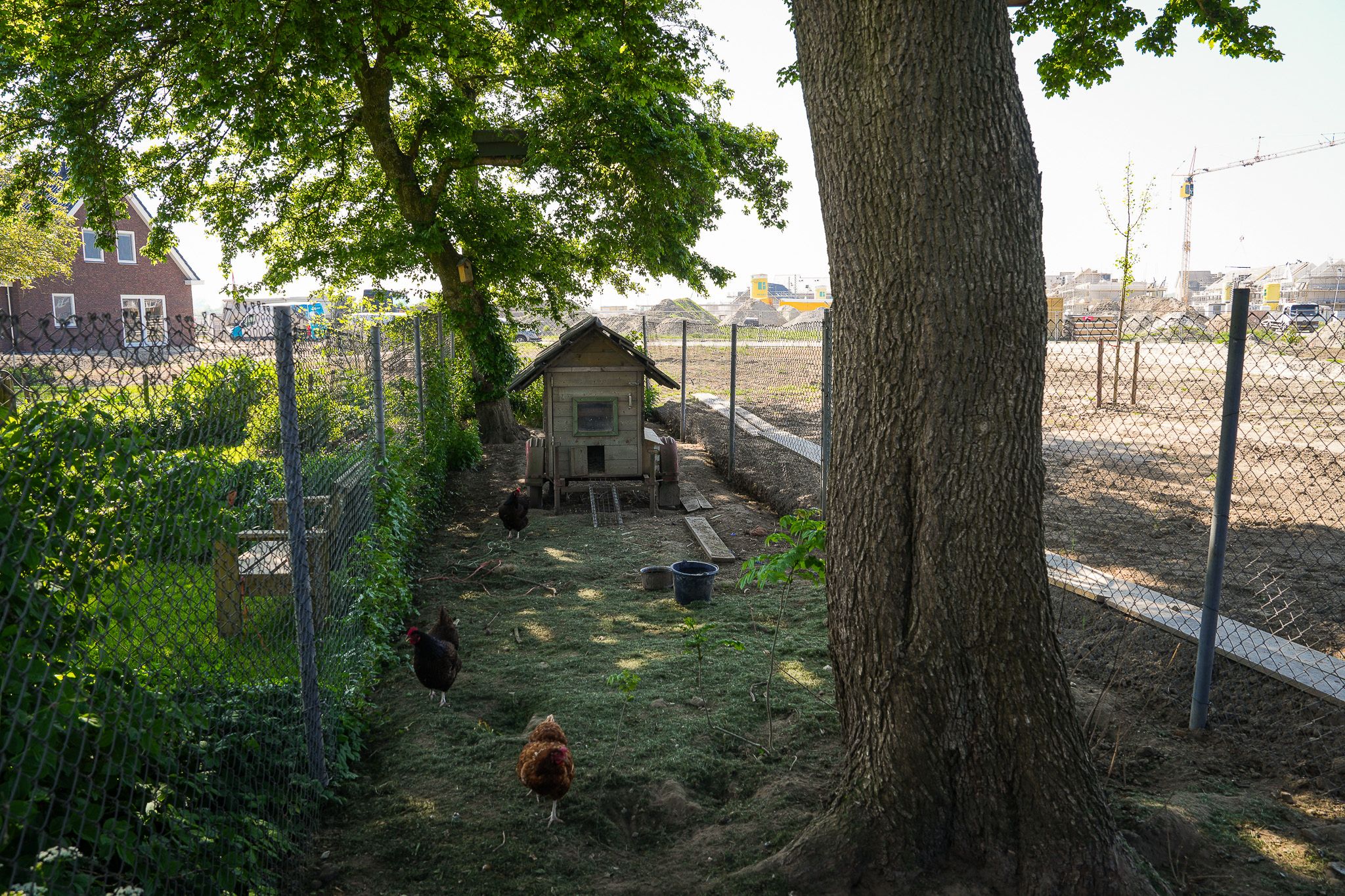 Photo 45 of van Heemstraweg 59