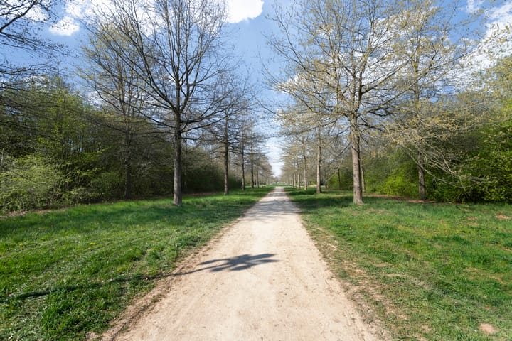 Foto 47 van Velderwoude 23