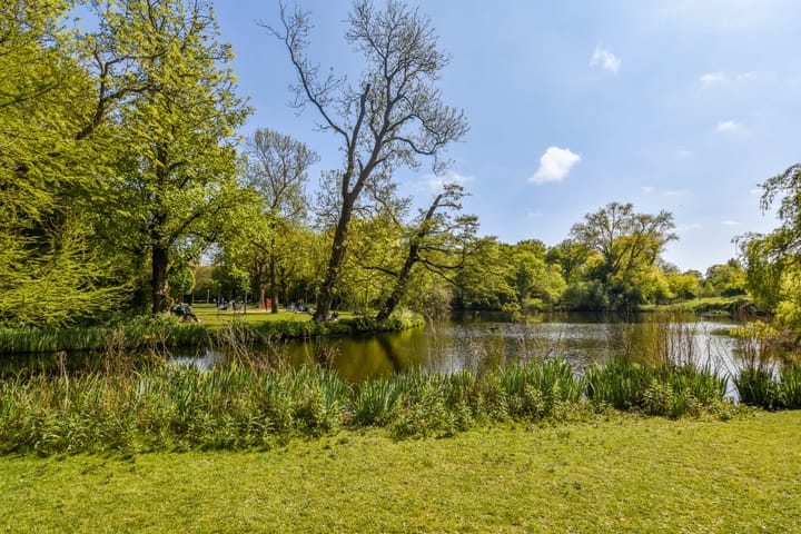 Foto 31 van Wilhelminastraat 106-4