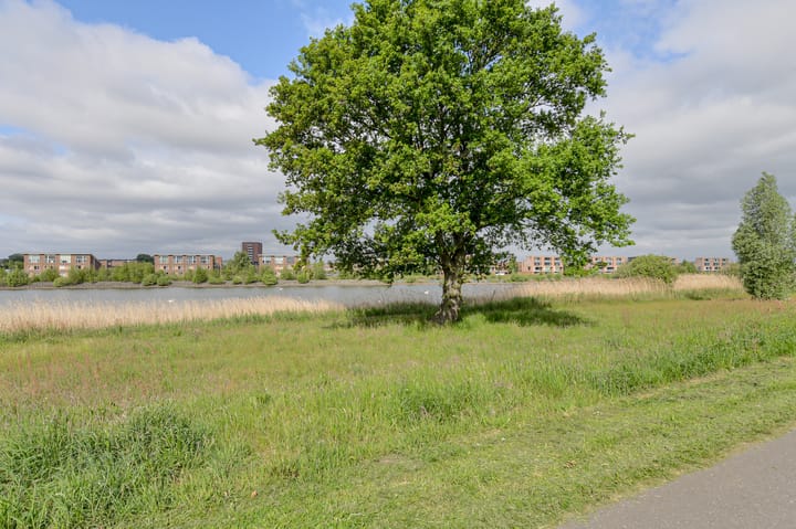 Foto 41 van Holsteinpad 34