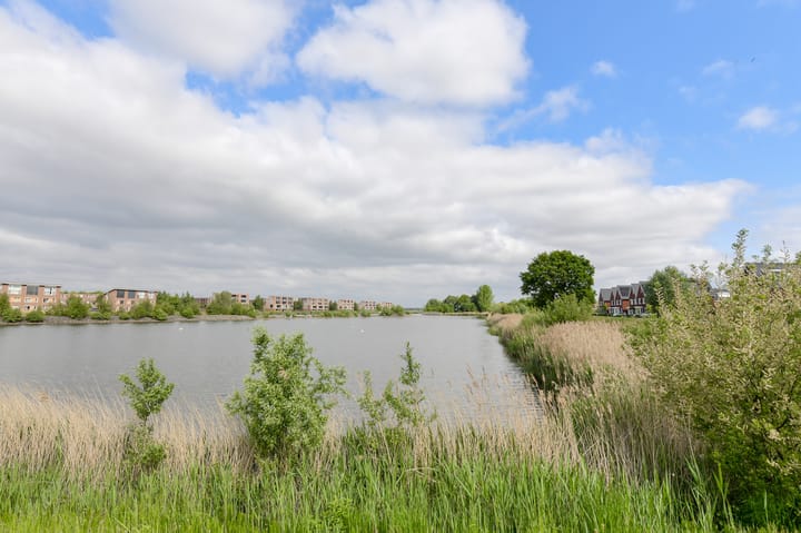 Foto 43 van Holsteinpad 34