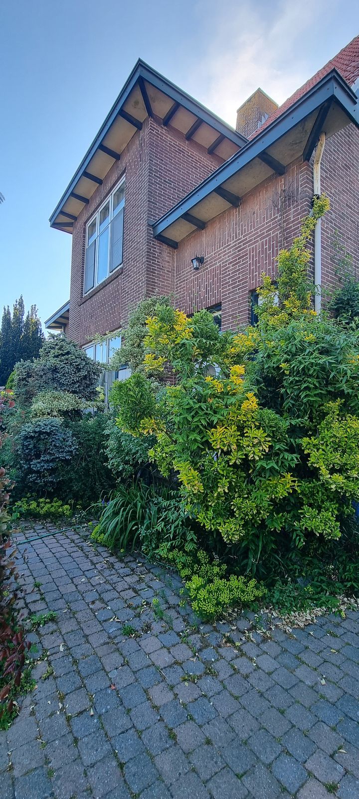 Foto 46 van Voorstraat 58