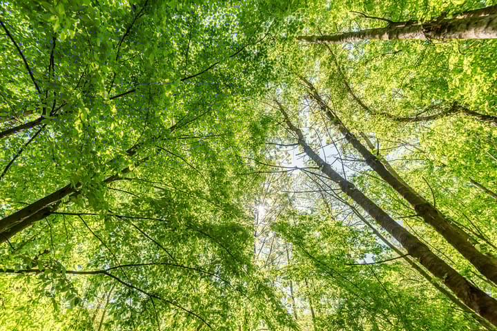 Foto 67 van Peppelmansdijk 17