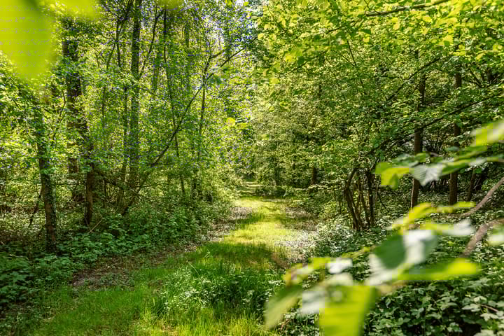 Foto 68 van Peppelmansdijk 17