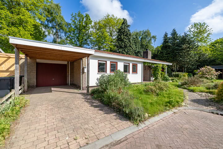 Foto 24 van Eltinge 49