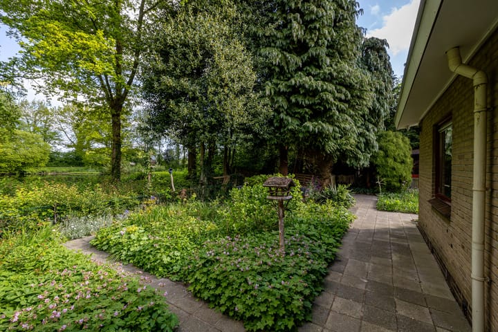 Foto 30 van Eltinge 49