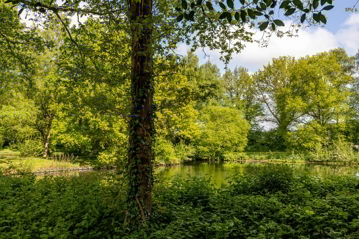 Foto 35 van Eltinge 49