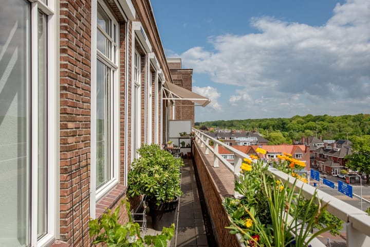 Foto 20 van Roelofsstraat 186