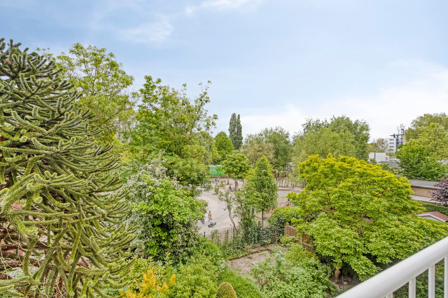 Foto 19 van Burggravenlaan 222