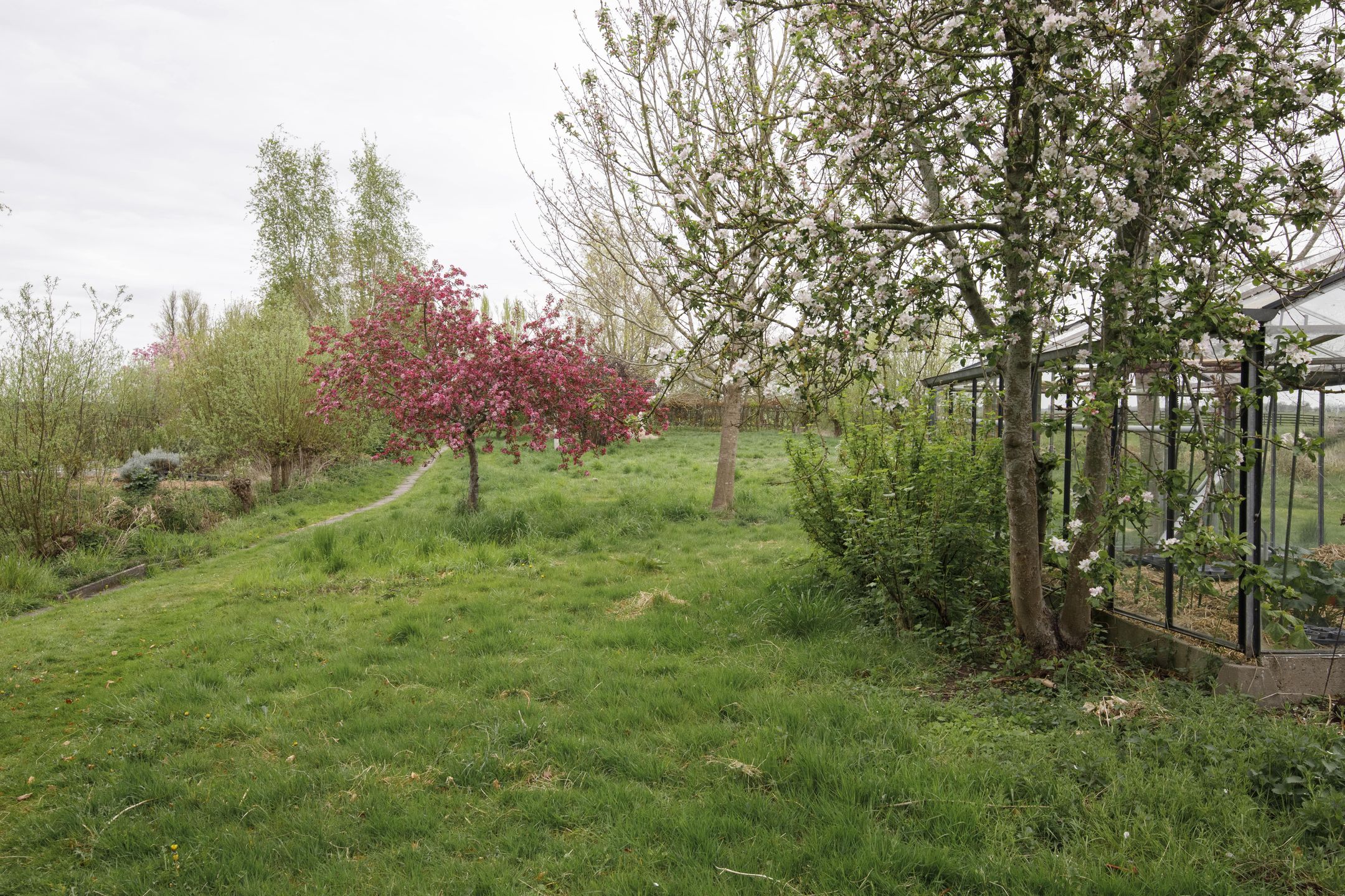 Foto 15 van Opperduit 334