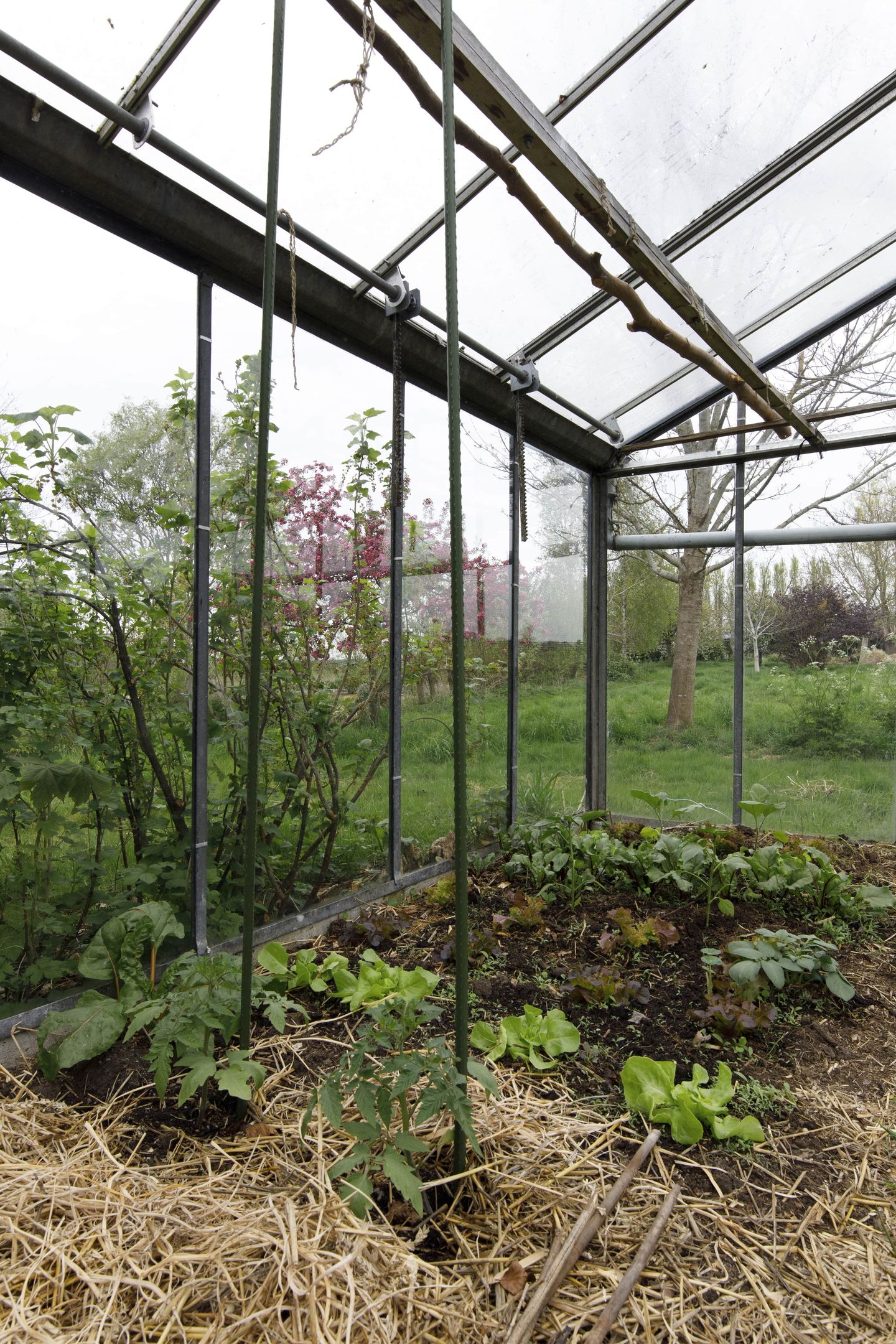 Foto 49 van Opperduit 334