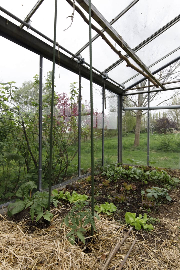 Photo 49 of Opperduit 334