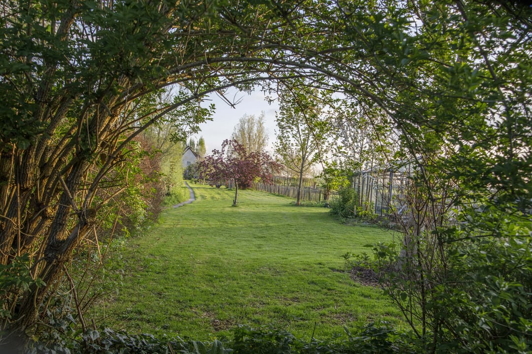 Foto 53 van Opperduit 334