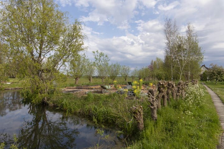 Photo 55 of Opperduit 334