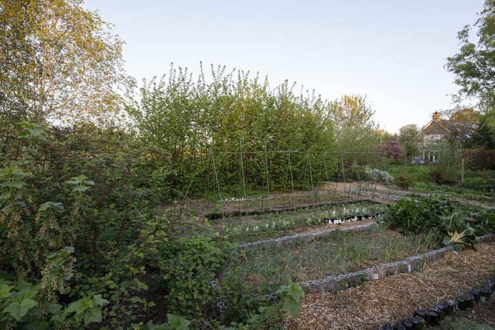 Photo 56 of Opperduit 334