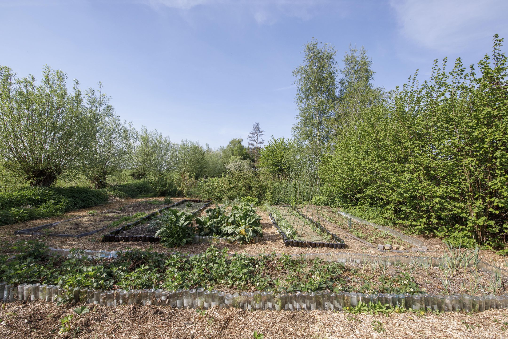 Foto 57 van Opperduit 334