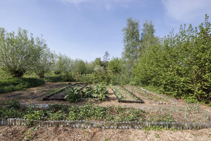 Photo 57 of Opperduit 334