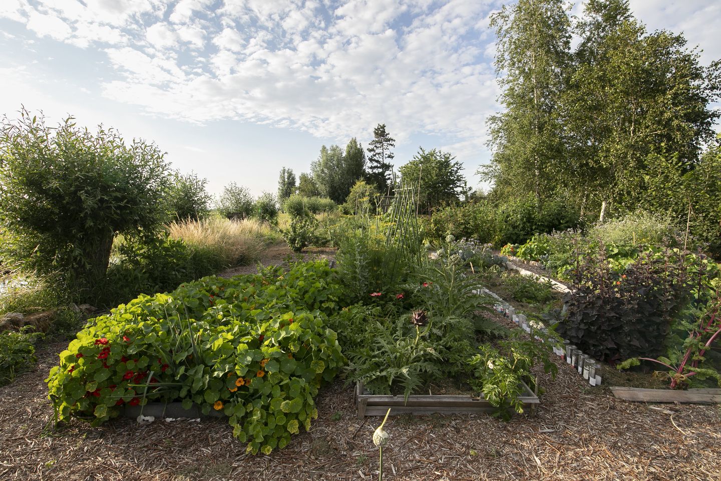 Foto 59 van Opperduit 334