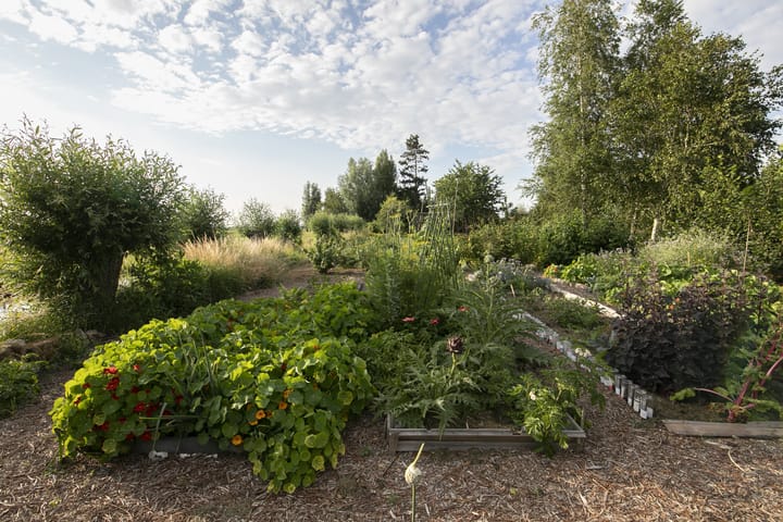 Photo 59 of Opperduit 334