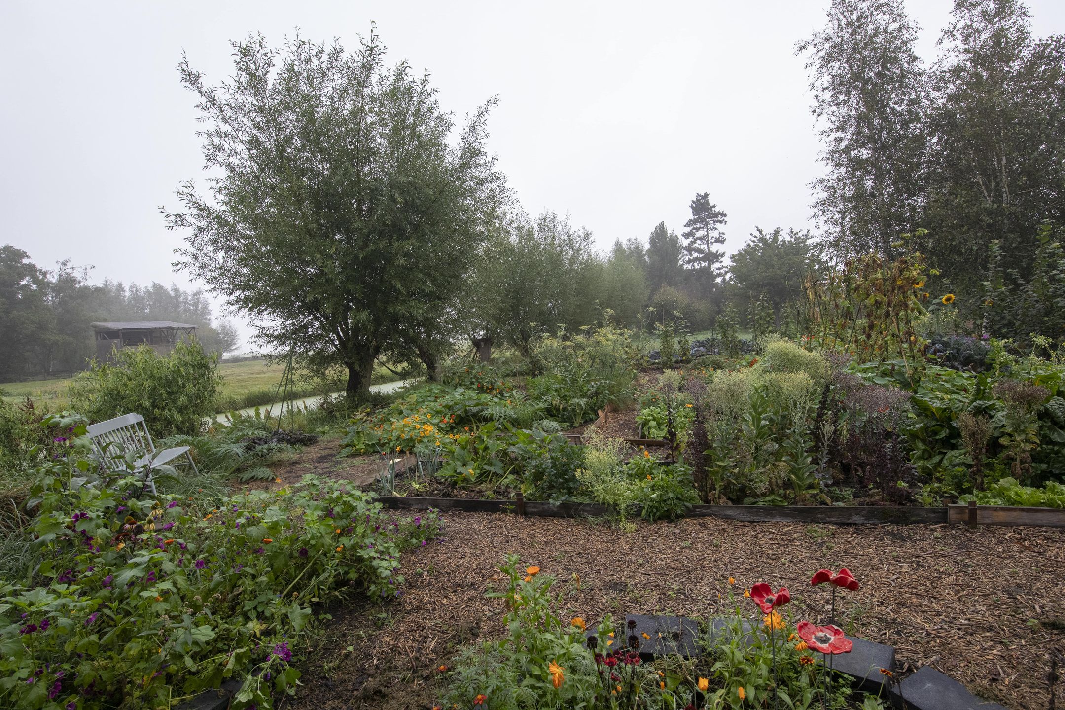 Foto 60 van Opperduit 334