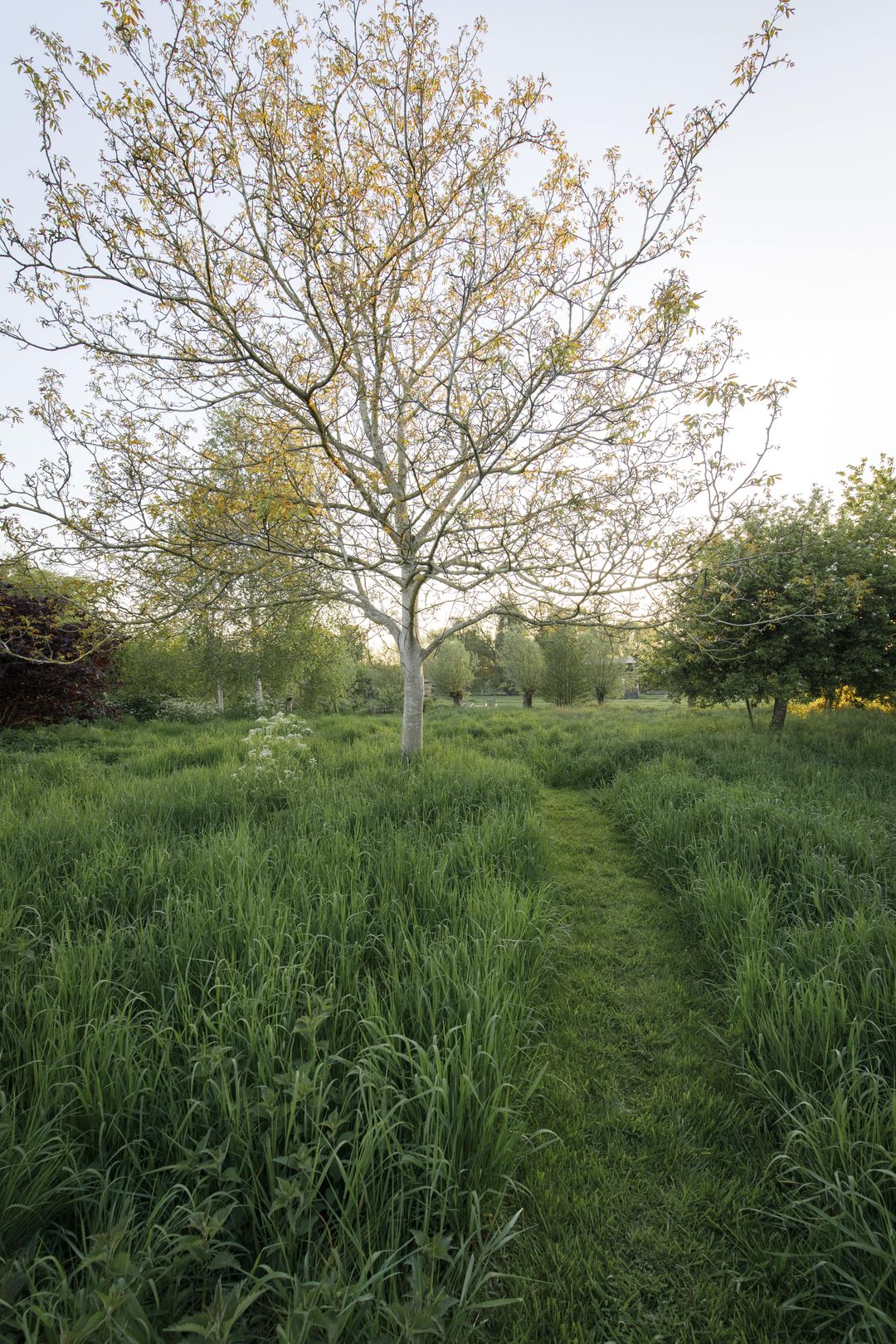 Foto 61 van Opperduit 334