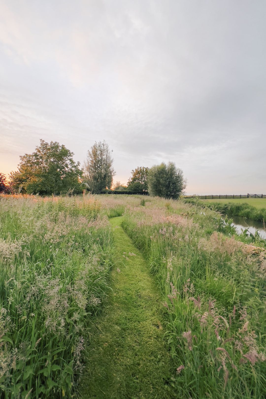 Foto 62 van Opperduit 334