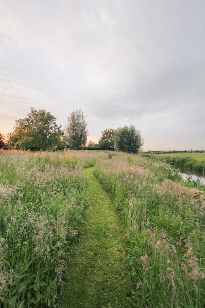 Photo 62 of Opperduit 334