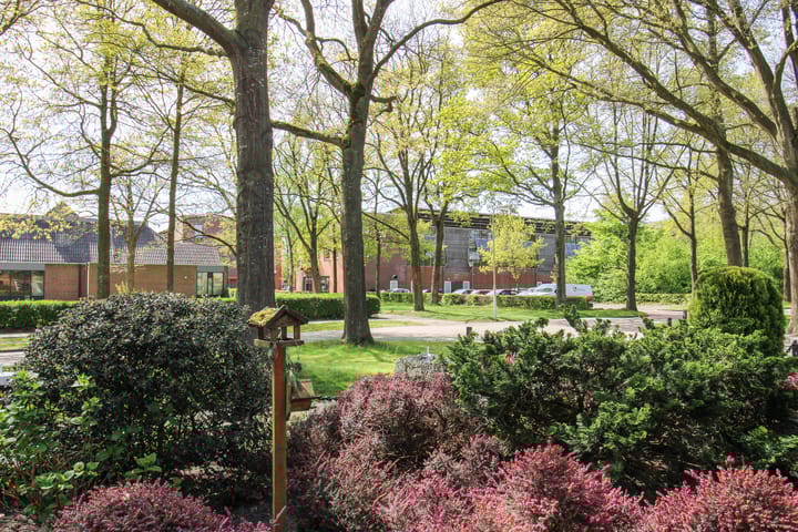 Foto 13 van Van Helsdingenstraat 9