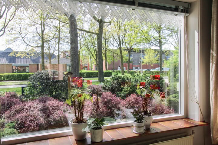 Foto 19 van Van Helsdingenstraat 9