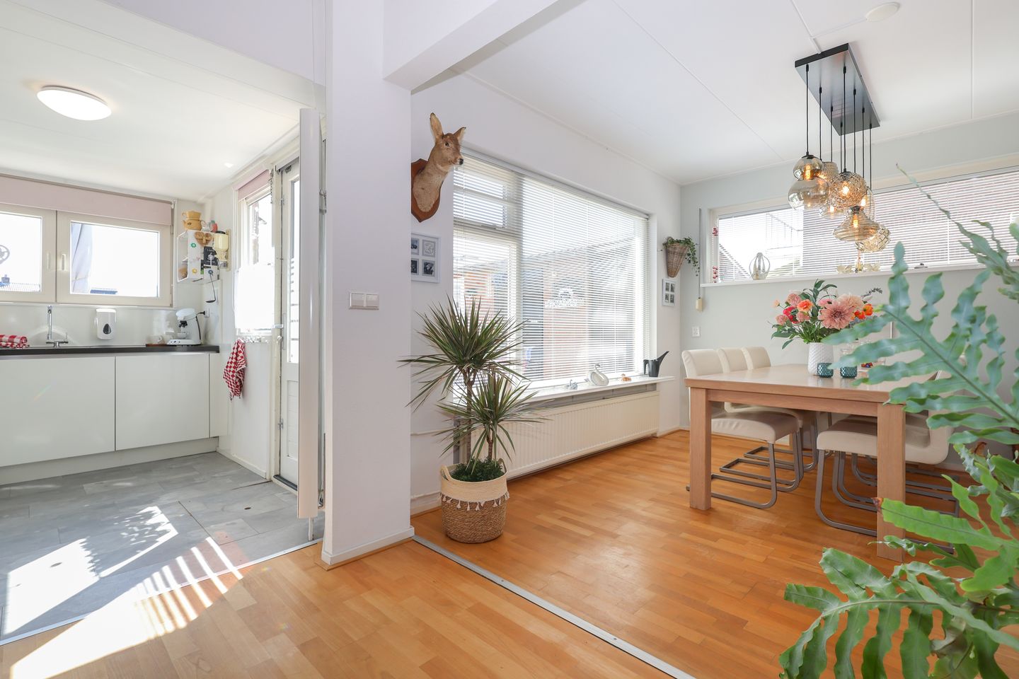 Foto 20 van Hoogvlietlaan 51